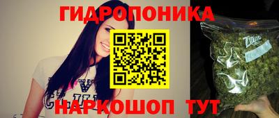 a pvp Кандалакша