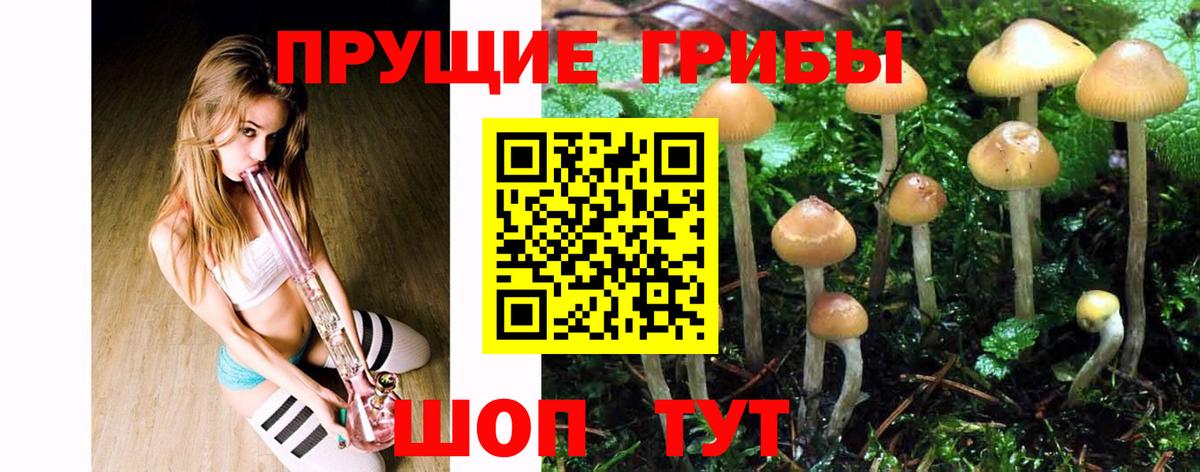 Галлюциногенные грибы Cubensis Тейково