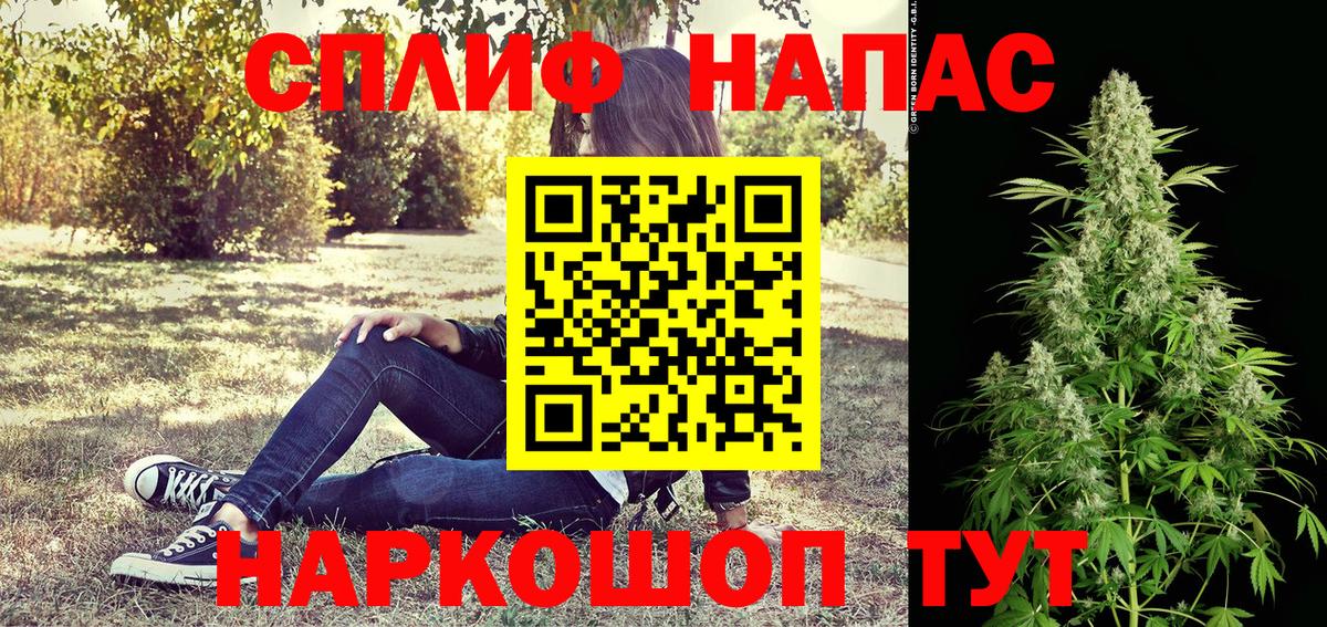 Канабис сатива Тейково