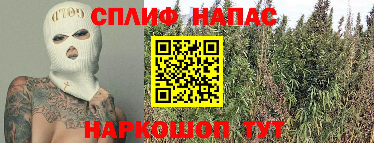 Марихуана White Widow  Бошки марихуана ГИДРОПОН  Бошки марихуана план  Вход с VPN  Тейково 